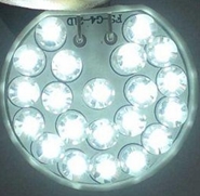 Lampada G4 con 21 LED 12V Bianco Freddo